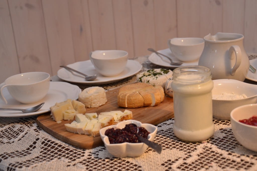 Degustacja kozich serów Degustacja kozich serów