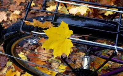 Wspomnień czar i czas na jesienne Wyprawy RoweLove