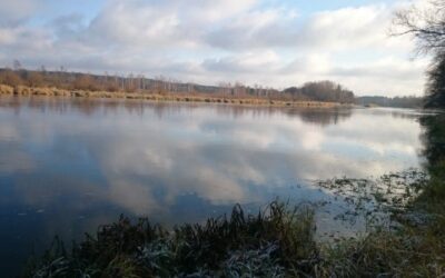 Pocztówka ze szlaku nadbużańskich dworów i pałaców