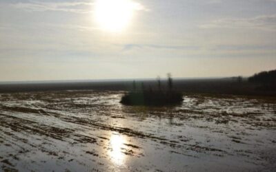 Tęsknota za magicznym Podlasiem