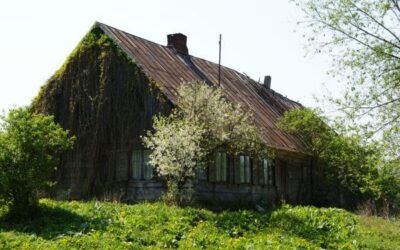 Powitaj wiosnę na wycieczkach jednodniowych po Mazowszu!