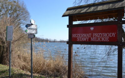 Ptaki i ryby mają głos! Poznaj Dolinę Baryczy – wyprawa weekendowa