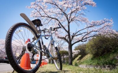 Jaki rower na wyprawy? Im prostszy tym lepszy!