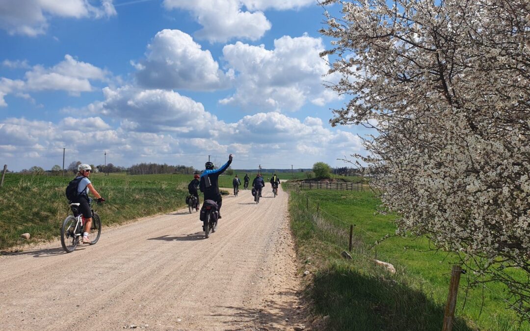 Letni sezon rowerowy czas zacząć!