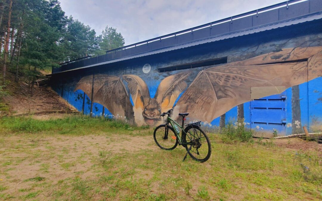 Spotkajmy się wiosną w Puszczy Kampinoskiej!