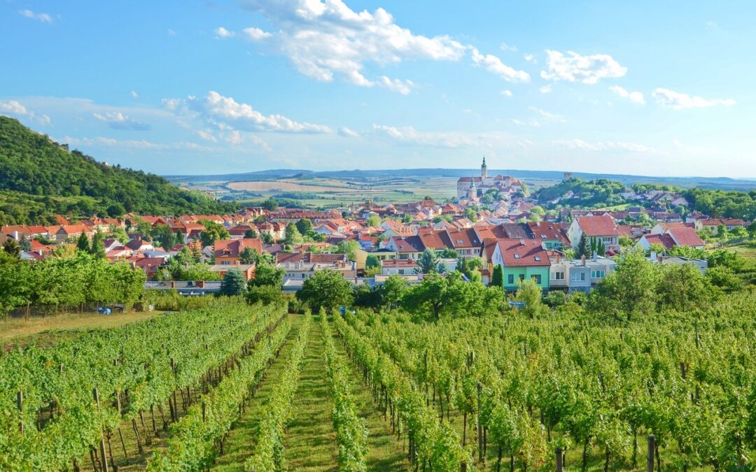 Morawy Południowe – sielskie szlaki pośród winnic