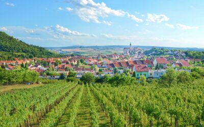 Morawy Południowe – sielskie szlaki pośród winnic